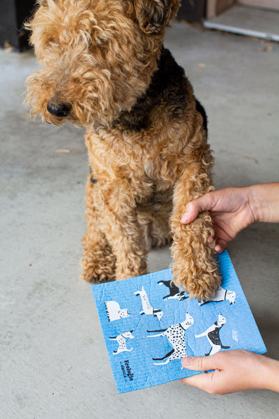 Dog Days - Swedish Dishcloth