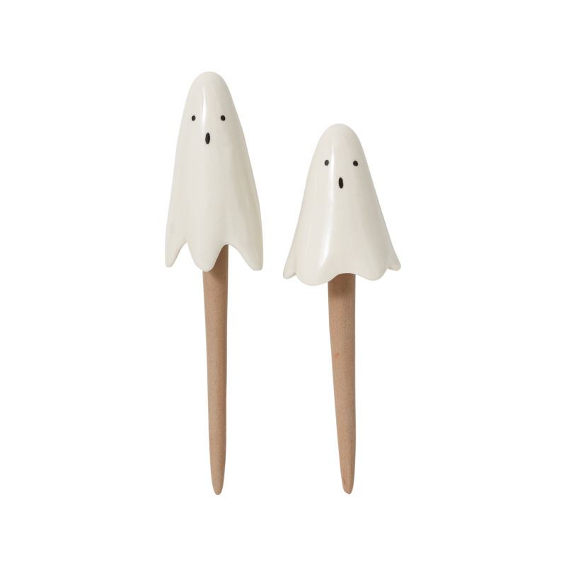 Ghost Plant Sticks