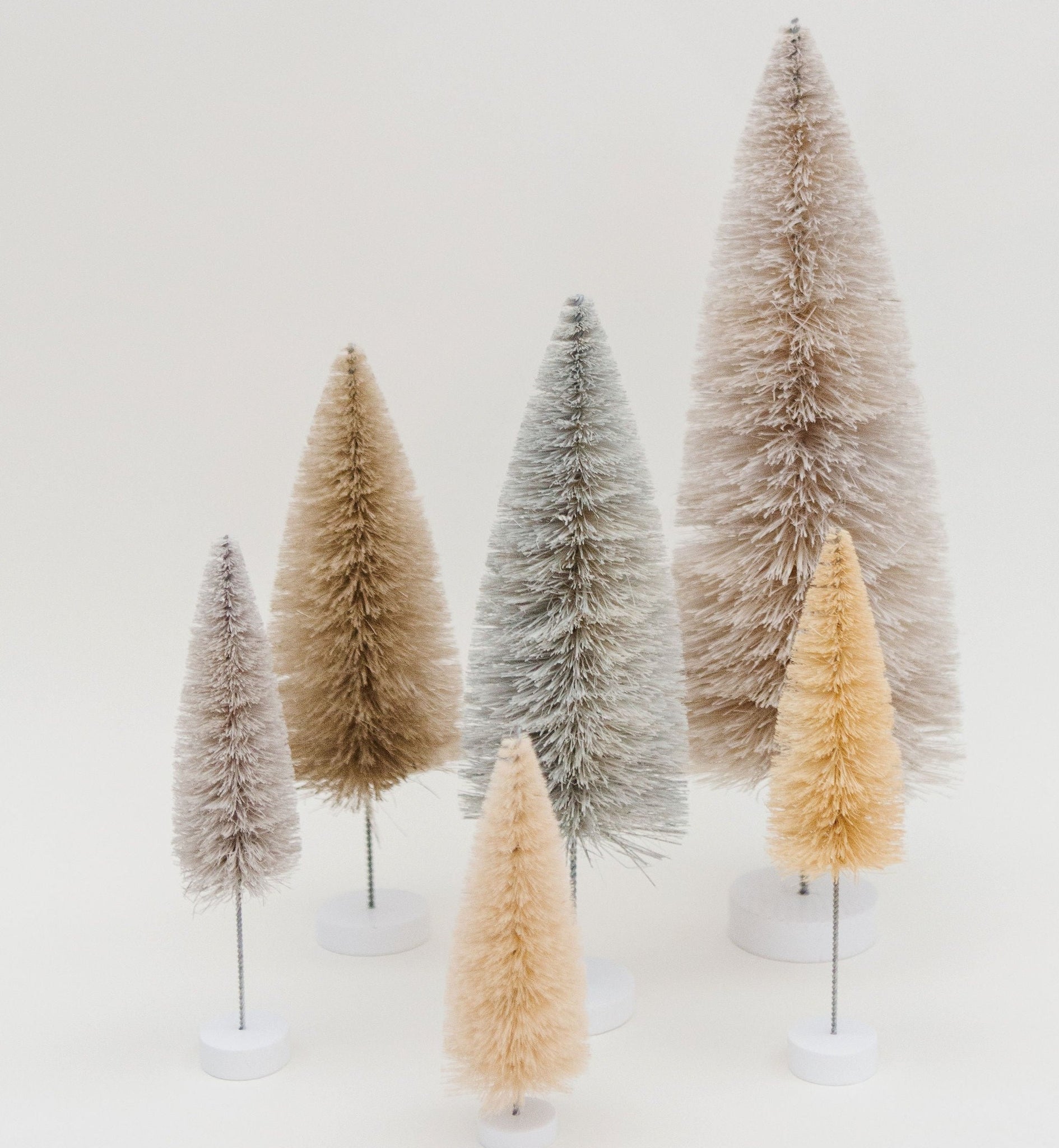 Natural Multi-Height Pine Trees